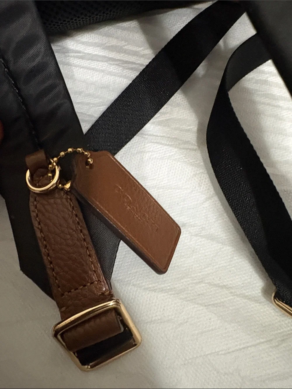 Coach Signature Canvas Backpack